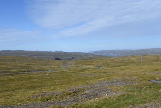 Finnmarksvidda