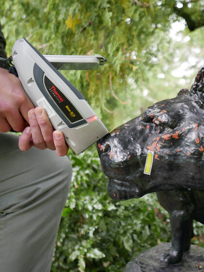 Løvegruppen. Her måles grunnstoffsammensetningen med håndholdt XRF på løvinnens nese.