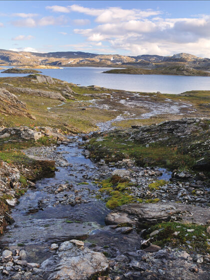 PARKAS (Building trust to environmental policy as catalyst for a green transition) er et tverrfaglig forskningsprosjekt finansiert over fire år (2018-2021) gjennom Norges forskningsråds MILJØFORSK-program.