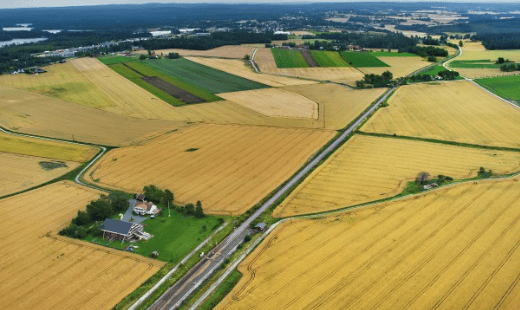 Haug - Seut