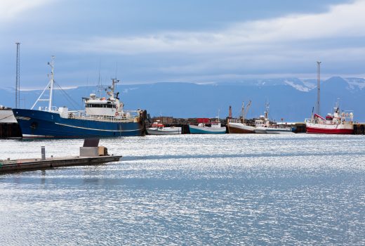 Fiskebåter til kai