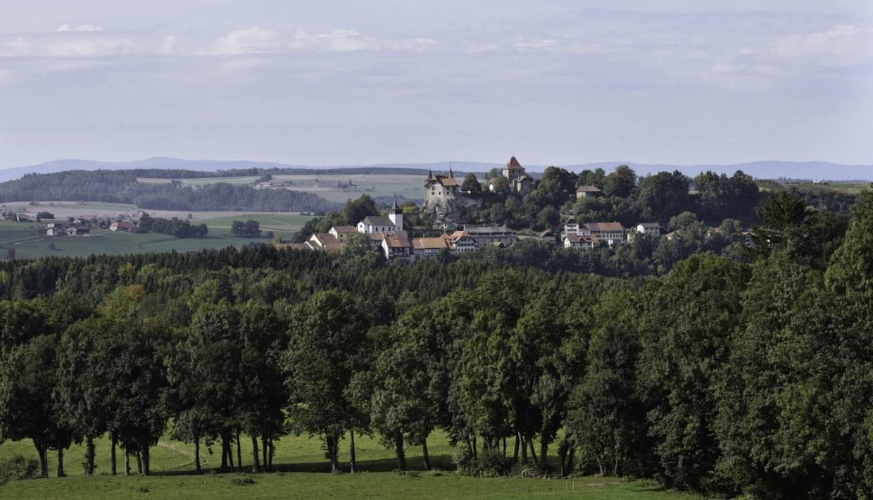 skal inch Ulydighed Conference: Nature and Culture in Medieval Towns — Norsk institutt for  kulturminneforskning