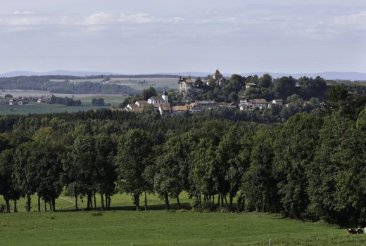 Nature and culture in medieval towns