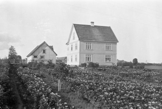 Opplandsmodellen for bygningsvern