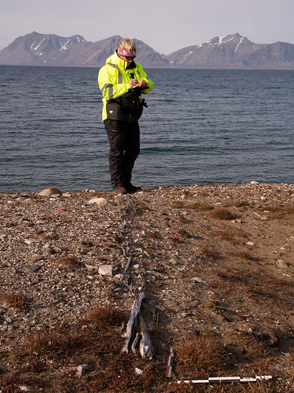 Tuft av det som trolig er et russisk hus fra 1700-tallet. Svalbard.