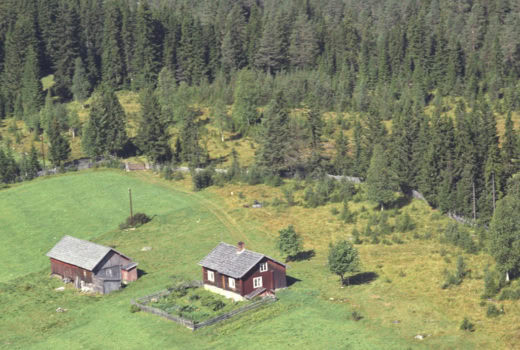 Stedsnavn: Flere navn på og rundt husmannsplasser står i fare for å bli glemt. Flyfoto fra 1983 fra en husmannsplass i Ringsaker. Foto: Widerøes flyveselskap AS/ Anno Domkirkeodden.