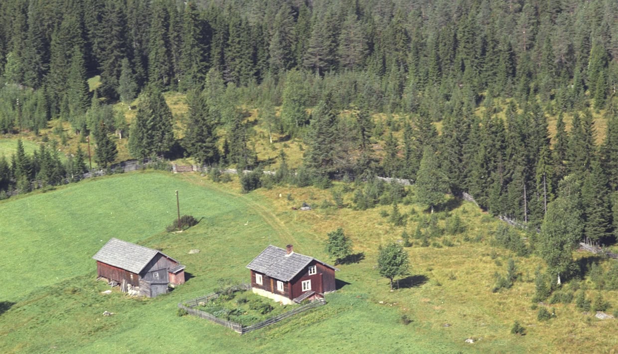 Stedsnavn: Flere navn på og rundt husmannsplasser står i fare for å bli glemt. Flyfoto fra 1983 fra en husmannsplass i Ringsaker. Foto: Widerøes flyveselskap AS/ Anno Domkirkeodden.