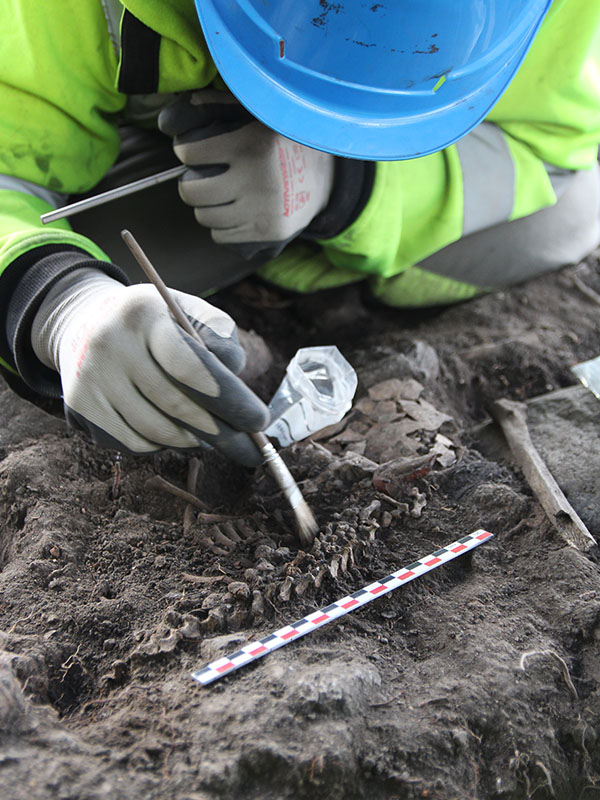 Bilde av en arkeolog fra NIKU som graver ut skjelett.