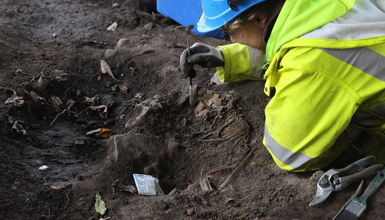 En av NIKUs arkeologer graver fram et skjelett.