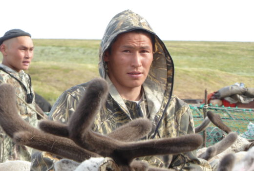 I dag er det Semen (23) sin tur å gjete flokken. Da trenger han uthvilte reinsdyr. Nenetserne passer på hele tiden over flokken deres. Derfor er reindriften i Nenetsia kalt for en “høyutviklet Tundra reindriftstype” preget av at flokker regelmessig beveger seg over store avstander under konstant overvåking av gjetere.