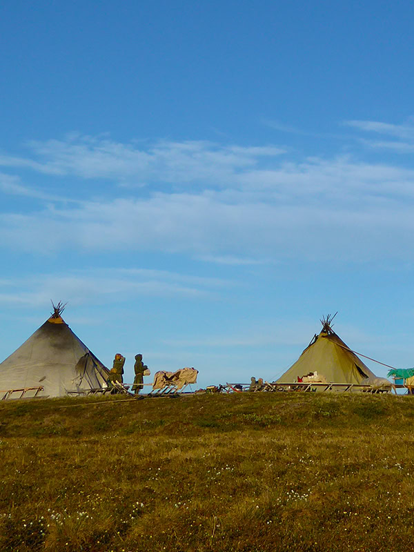 Hvordan forholder reindriftsutøvere i Nenets og Sápmi seg til klimaendring og klimasensitive smittsomme sykdommer?