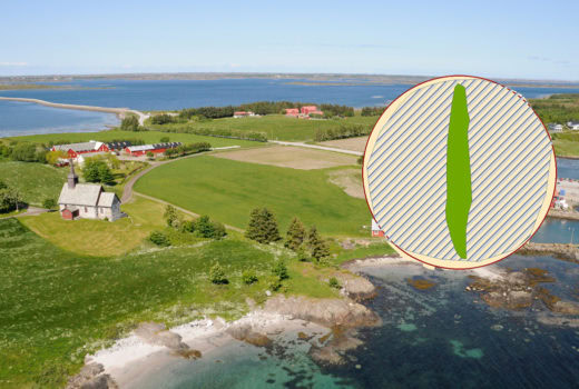 Maktsenteret på Edøy? Det var i området rett til høyre for Edøy gamle kirke at den overpløyde viste seg i georadardatene. Foto: Svein Junge. Illustrasjon, Manuel Gabler, NIKU