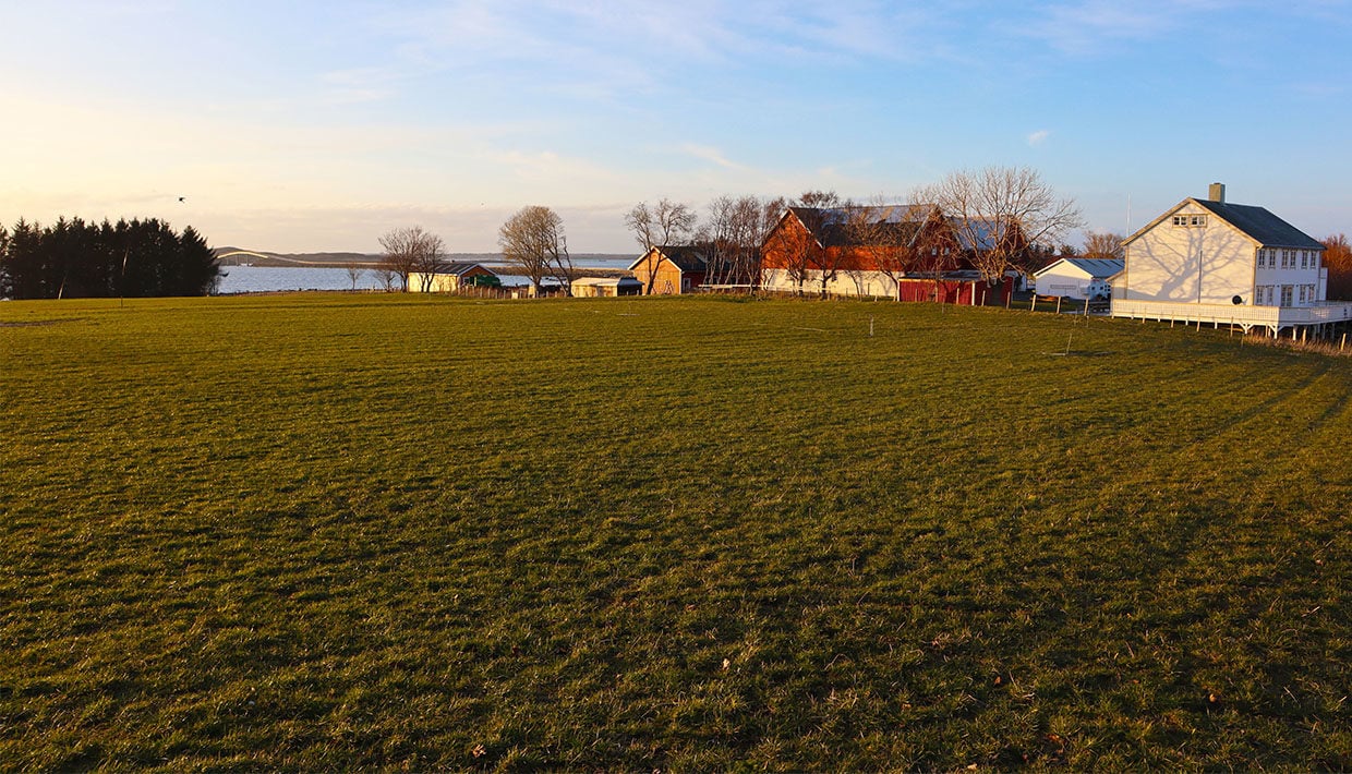 I 2019 fant arkeologene et langskip. Nå håper de at ny teknologi skal hjelpe dem å finne flere spor fra vikingtiden på Edøy. Nylig startet de nye søk på øyen.