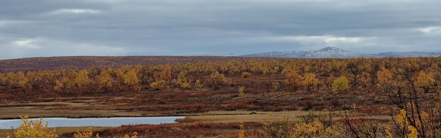 Landskap i Finnmark. Foto Jorid Martinsen