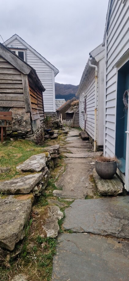 Bilde av gamle trehus på hver side av en hellelagt gate i klyngetunet på Havrå.