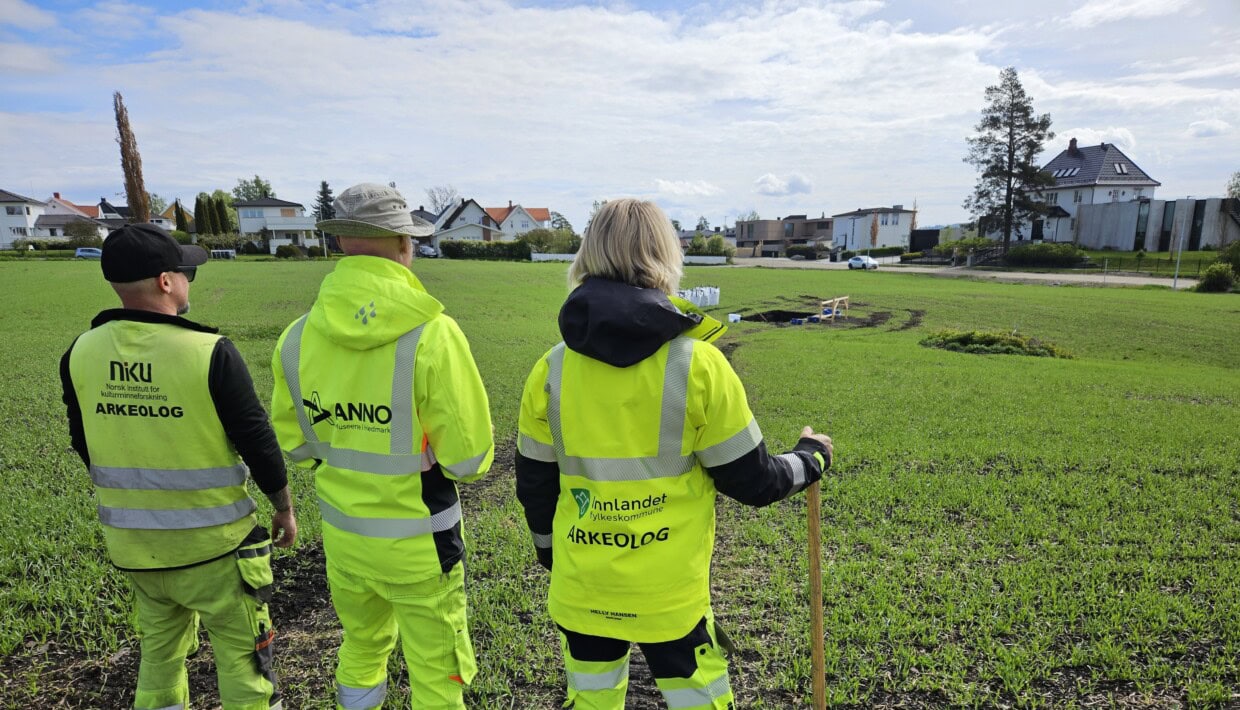 Tre arkeologer iført gult arbeidstøy står med ryggen til fotografen ute på et jordet. Jakkene har logoene til de tre forskjellige institusjonene NIKU, Anno museum og Innlandet fylkeskommune.