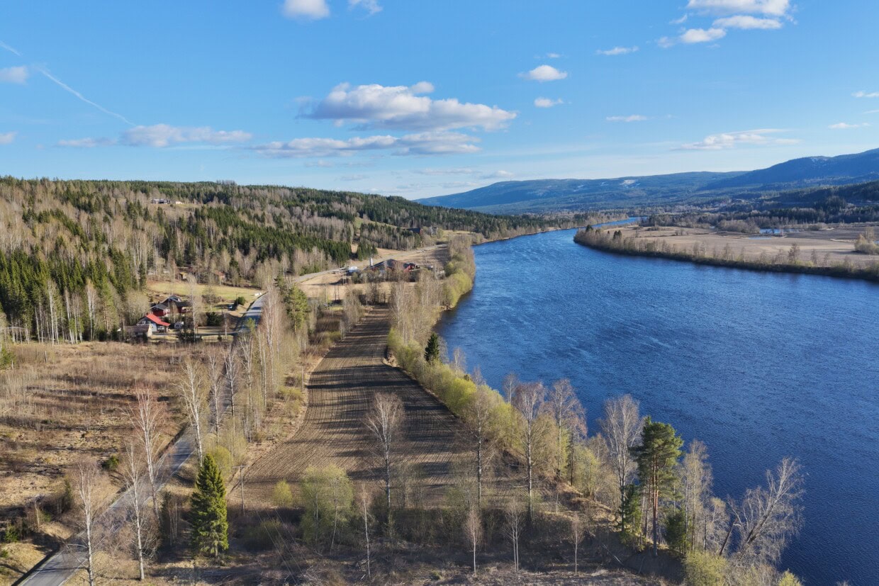 Dronefoto som viser Renaelva til høyre og Mørstadjordet til venstre. På dette jordet ble det funnet nær 5000 sølvmynter fra vikingtid tidlig i april 2026.