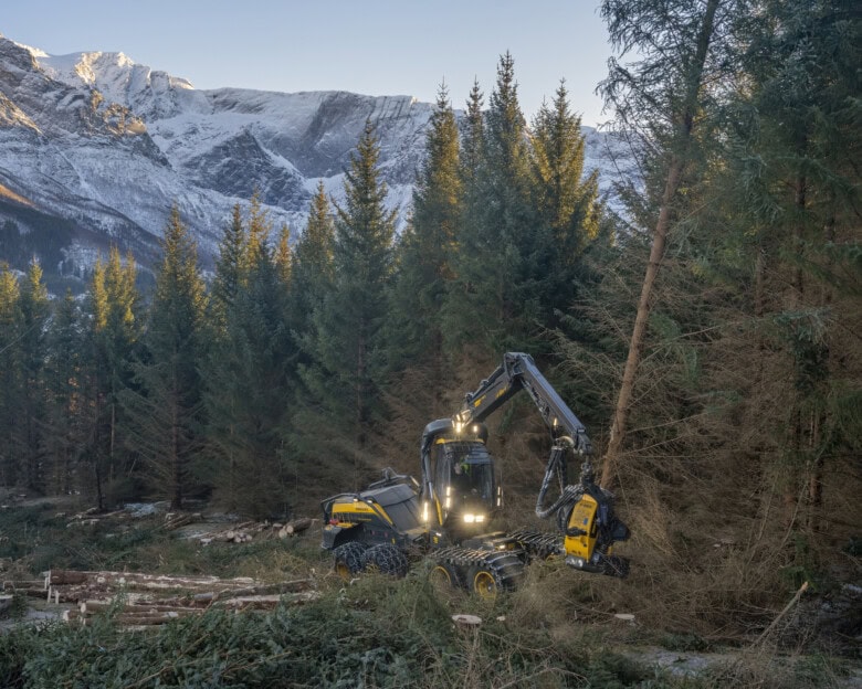 Maskinell skogavvirkning på åsryggen mellom Skjelstad og Hustoft, ikke langt fra Leines i Steigen kommune i Nordland vinteren 2026. Hogstmaskinen som ble brukt var fra den finske produsenten Ponsse.
