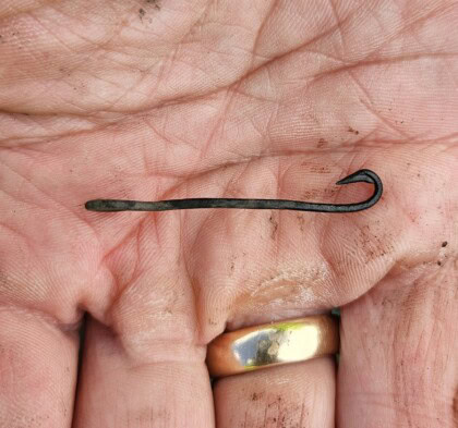 Bildet viser en håndflate hvor det ligger en tynn fiskekrok fra middelalderen. Hånden har en tykk gullring på ringefingeren.