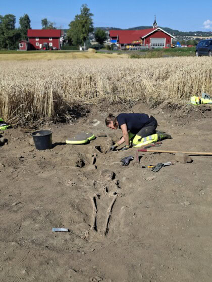 En kvinnelig arkeolog sitter på kne mens hun graver ut et skjelett. I forgrunnen av bildet ses et annet skjelett.Utgravningen skjer på en åker med korn, og i bakgrunnen skimtes en rød bygning.